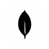 MongoDB